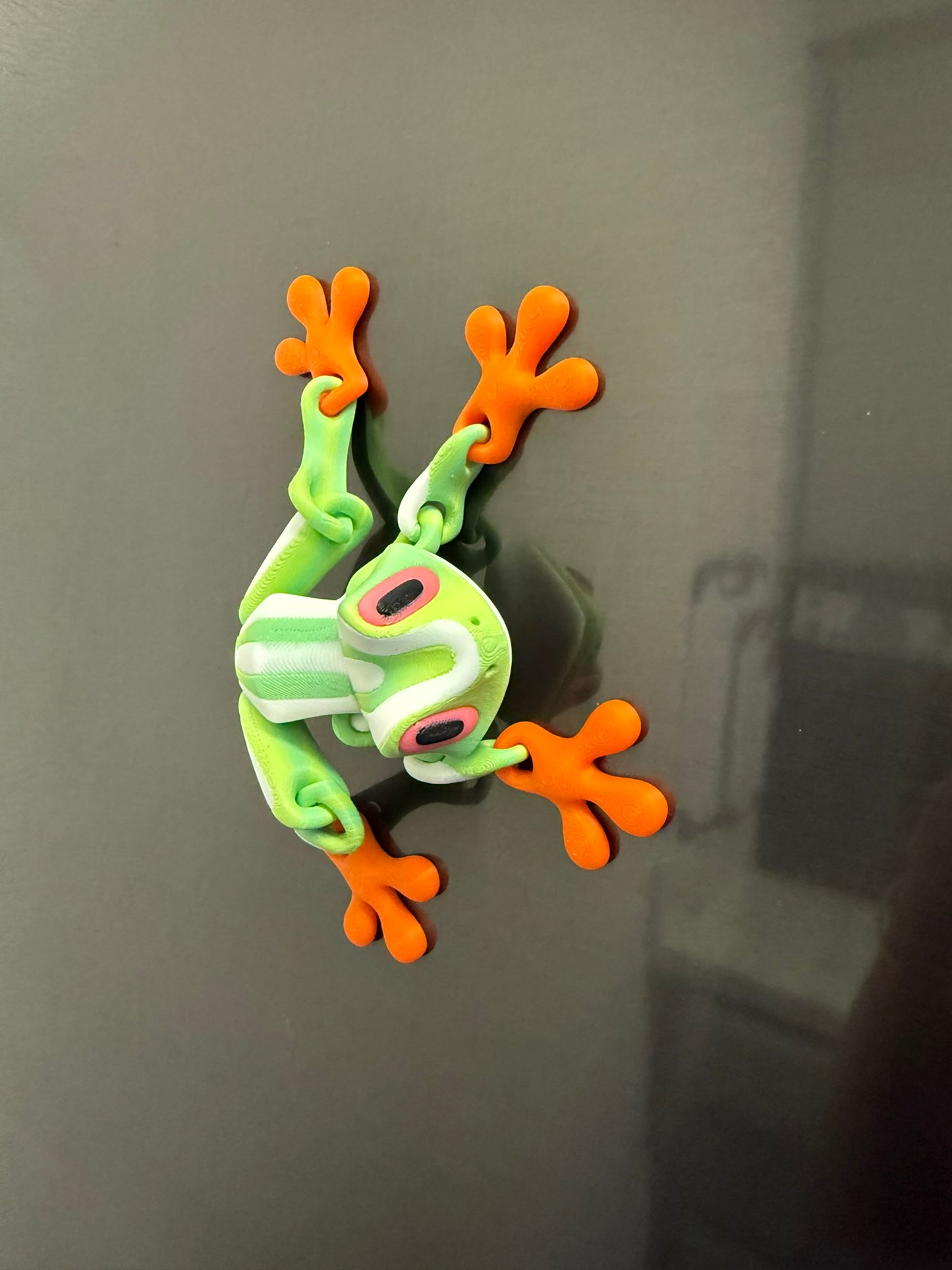 π¦π΅π Animal Kingdom Collectibles β¨