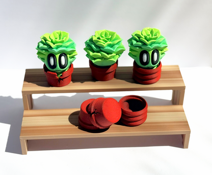 🌿👀 Leafy Buddies 👀🌿