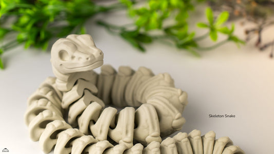 🔥💀 Ancient Skeleton Dragon & Serpent 🐍🐉