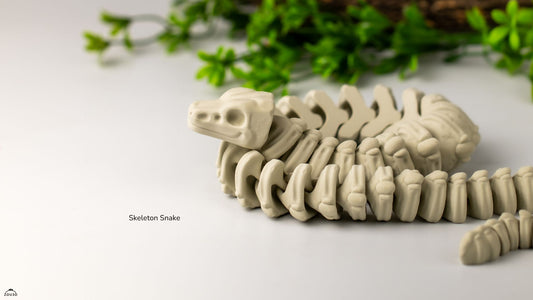 🔥💀 Ancient Skeleton Dragon & Serpent 🐍🐉